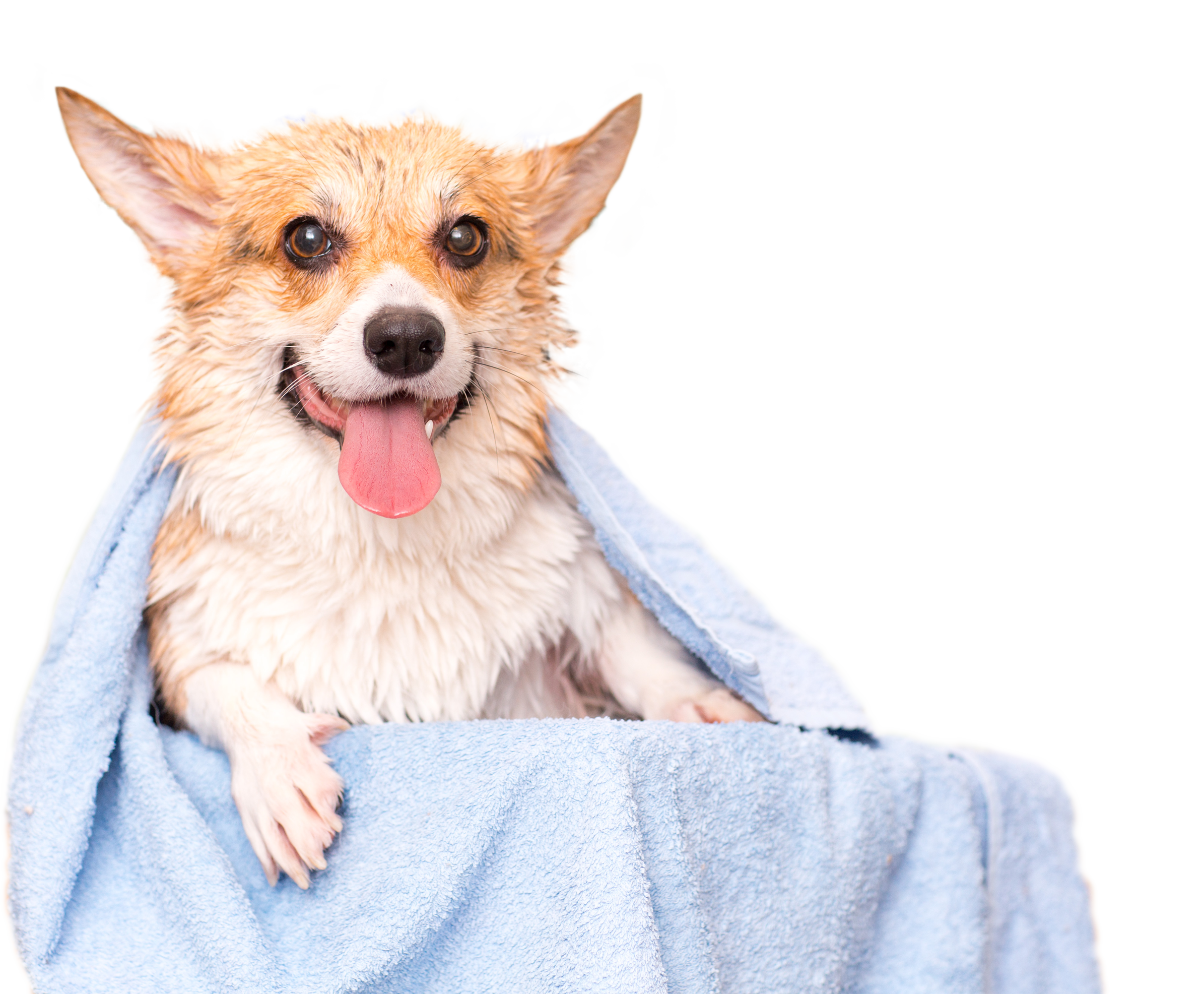 Sabonete Sarnicida Plus